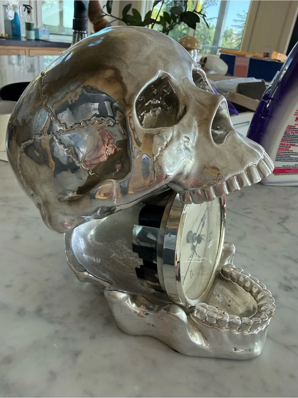 Z Gallerie decorative skull